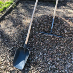 Aménagement Paysager : Transformez Votre Jardin en un Oasis de Verdure Thouars